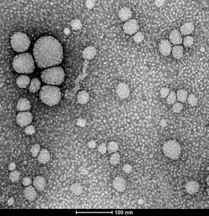 Nano Particules Nano Particules